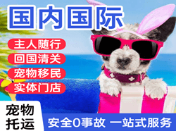 温州龙湾空运代理国际宠物托运 【国