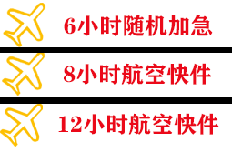 温州龙湾空运代理快递公司,专业空运当天件